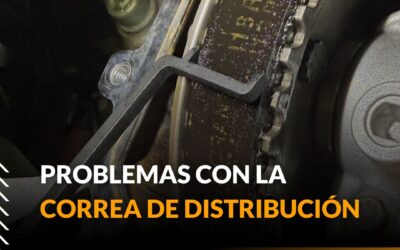 Problemas con la correa de distribución en motores Stellantis (PSA)