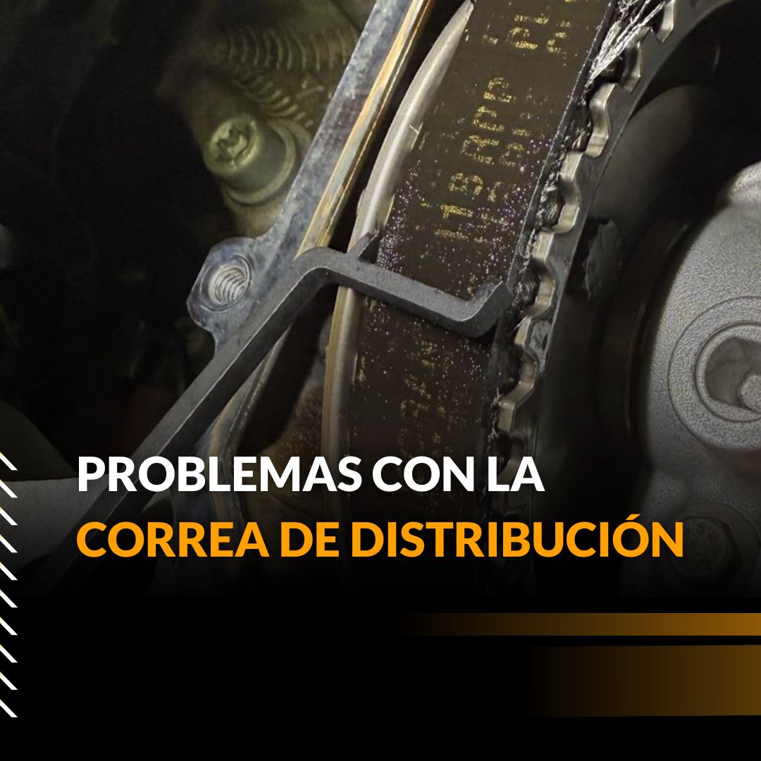 Problemas correa distribución